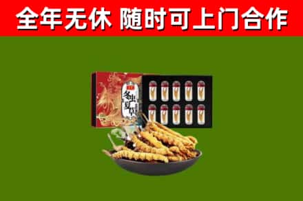 玉林市回收冬虫夏草价格